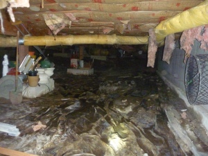 Standing water in the crawlspace of this South Salem Home